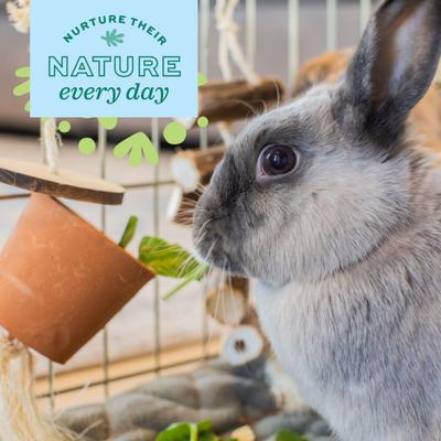 Show full view: Oxbow Enriched Life Forage Pot Small Animal Chew Toy slide 4 of 10