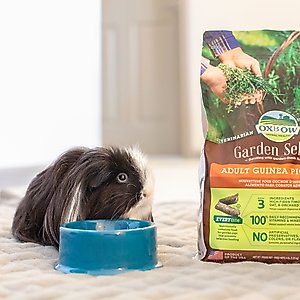 Oxbow Enriched Life Forage Small Animal Bowl, Small