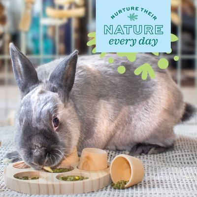 Show full view: Oxbow Enriched Life Hay Forager Small Pet Toy slide 4 of 10