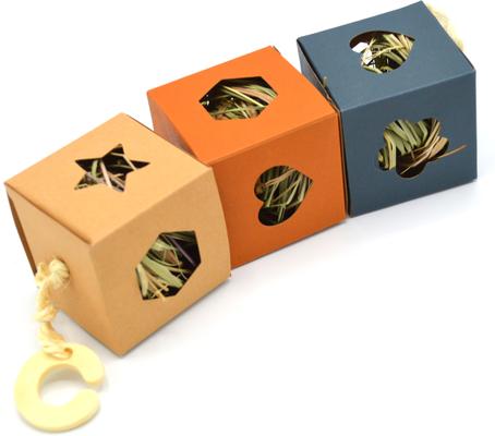 Show full view: Oxbow Enriched Life Hide Box Hanger Small Animal Toy slide 3 of 10