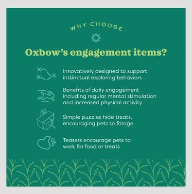 Show full view: Oxbow Enriched Life Lettuce Forage Mat Small Pet Toy slide 6 of 7