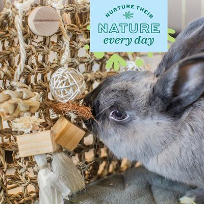 Show full view: Oxbow Enriched Life Play Wall Small Animal Toy, Small slide 5 of 10