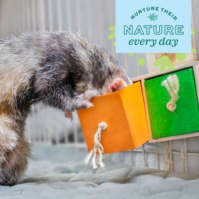 Show full view: Oxbow Enriched Life Pull 'n Seek Small Animal Toy slide 5 of 10