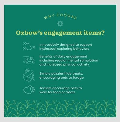 Show full view: Oxbow Enriched Life Pyramid Treat Hanger Small Pet Toy slide 4 of 6