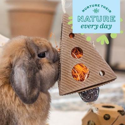 Show full view: Oxbow Enriched Life Pyramid Treat Hanger Small Pet Toy slide 6 of 6