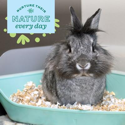 Show full view: Oxbow Enriched Life Rectangle Small Animal Litter Pan with Removable Shield slide 3 of 10