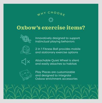 Show full view: Oxbow Enriched Life Run 'n Rattle Small Pet Toy slide 5 of 6