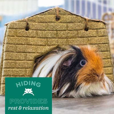 Show full view: Oxbow Enriched Life Small Animal Cage with Play Yard, Large slide 9 of 10