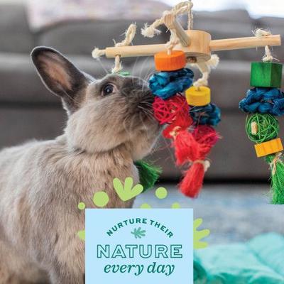 Show full view: Oxbow Enriched Life Spin 'n Chew Small Pet Toy slide 6 of 6