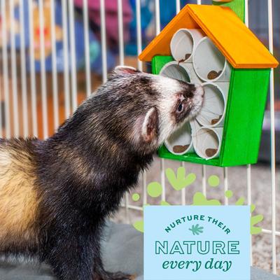 Show full view: Oxbow Enriched Life The Treat House Small Animal Toy slide 4 of 10