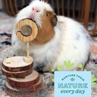 Show full view: Oxbow Enriched Life Timber Treat Teaser Small Pet Toy slide 7 of 7