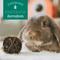 Show in main carousel: Oxbow Enriched Life Timothy Carrot Lollipop Small Pet Chew Toy slide 9 of 9