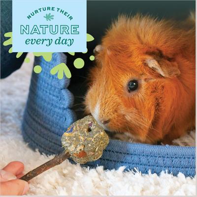 Show full view: Oxbow Enriched Life Timothy Popsicle Small-Pet Toy slide 3 of 8