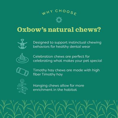 Show full view: Oxbow Enriched Life Timothy Popsicle Small-Pet Toy slide 6 of 8