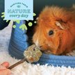 Show in main carousel: Oxbow Enriched Life Timothy Waffle Small Animal Toy slide 4 of 10