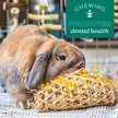 Show in main carousel: Oxbow Enriched Life Timothy Waffle Small Animal Toy slide 6 of 10