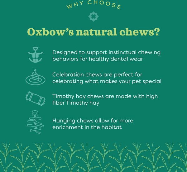 Show full view: Oxbow Enriched Life Timothy Waffle Small Animal Toy slide 8 of 10