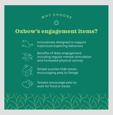 Show full view: Oxbow Enriched Life Tumble 'n Toss Small Pet Toy slide 4 of 7