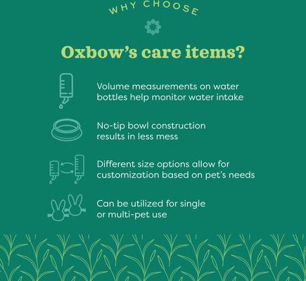 Show full view: Oxbow Enriched Life Wood Small Animal Brush & Comb slide 6 of 10