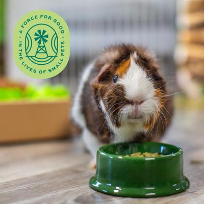 Show full view: Oxbow Essentials Cavy Cuisine Adult Guinea Pig Food, 25-lb bag slide 4 of 11