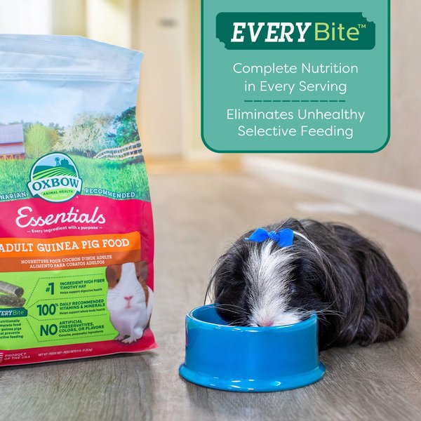 Show full view: Oxbow Essentials Cavy Cuisine Adult Guinea Pig Food, 25-lb bag slide 5 of 11