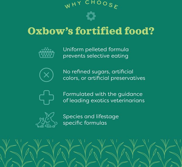 Show full view: Oxbow Essentials Cavy Cuisine Adult Guinea Pig Food, 25-lb bag slide 7 of 11