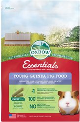 Oxbow Essentials Cavy Performance Young Guinea Pig Food, 10-lb bag