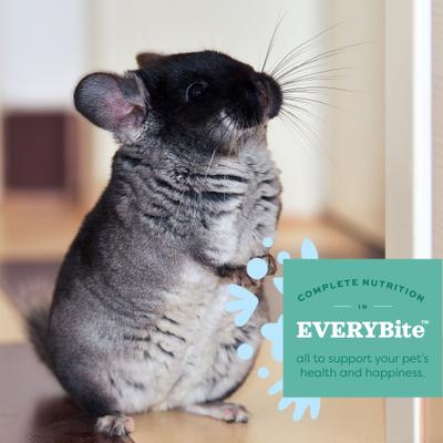 Show full view: Oxbow Essentials Chinchilla Deluxe Chinchilla Food, 25-lb bag slide 8 of 10