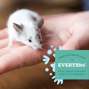 Oxbow Essentials Mouse & Young Rat Food All Natural Mouse & Young Rat Food, 2.5lb. 