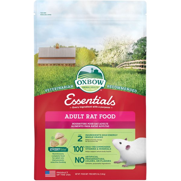 Rat Catalog Best Rat Foods 2026: According to Reviews | Chewy