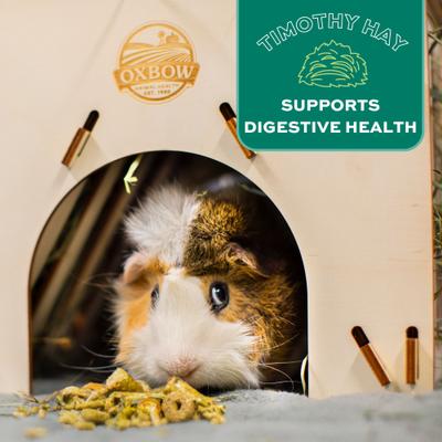 Show full view: Oxbow Forage Wise Adult Guinea Pig Food, 4-lb bag slide 7 of 10