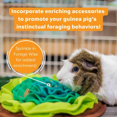 Show full view: Oxbow Forage Wise Adult Guinea Pig Food, 4-lb bag slide 6 of 10