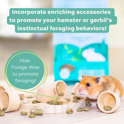 Show full view: Oxbow Forage Wise Hamster & Gerbil Food, 2-lb bag slide 6 of 9