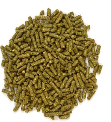 Show full view: Oxbow Garden Select Chinchilla Food, 3-lb bag slide 3 of 10