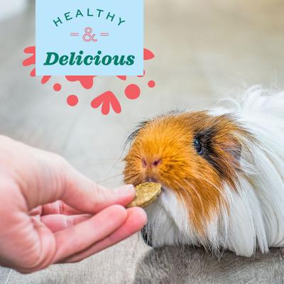 Show full view: Oxbow Natural Science Vitamin C Small Animal Supplement, 60 count slide 3 of 11