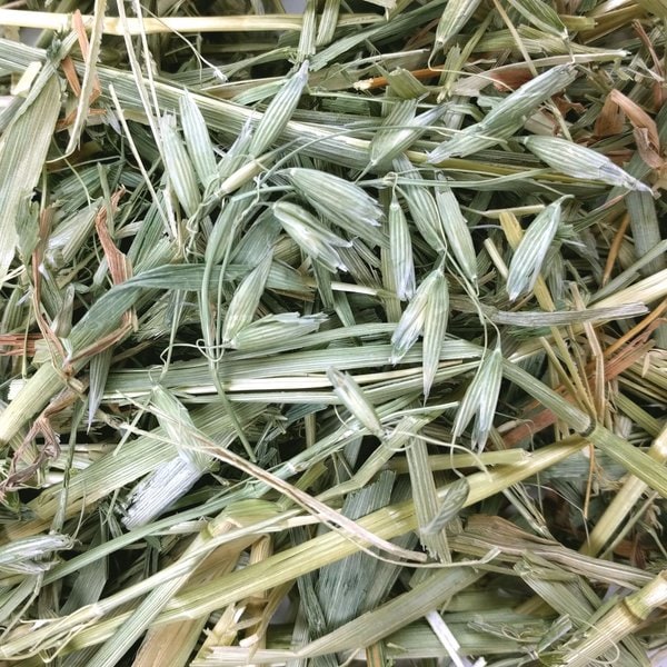 Illustration of Hay For Small Animals