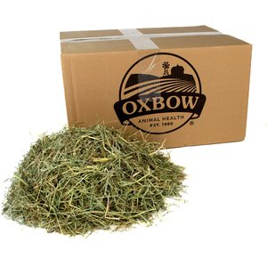 Oxbow Orchard Grass Hay Small Animal Food, 25-lb bag