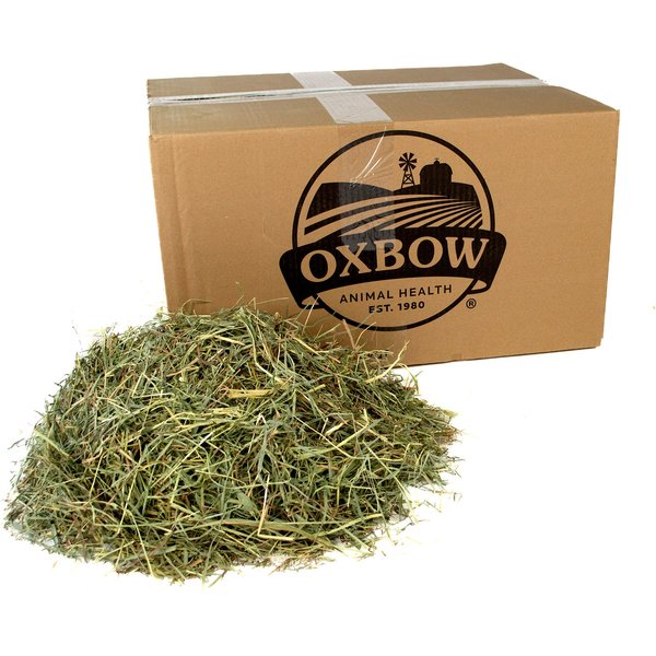 View of OXBOW Orchard Grass Hay Small Animal Food, 25-lb bag - Chewy.com