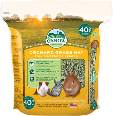 OXBOW Orchard Grass Hay Small Animal Food, 40-oz bag, bundle