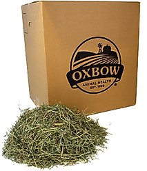 Oxbow Orchard Grass Hay Small Animal Food, 50-lb bag