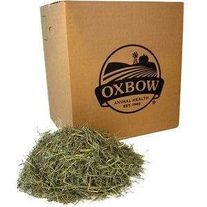 Oxbow Orchard Grass Hay Small Animal Food, 50-lb bag