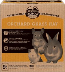 Oxbow Orchard Grass Hay Small Animal Food, 9-lb bag
