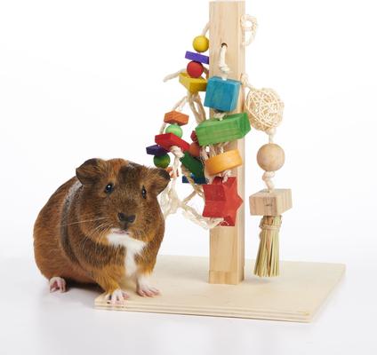 Show full view: Oxbow Play Post Small Animal Toy slide 4 of 10