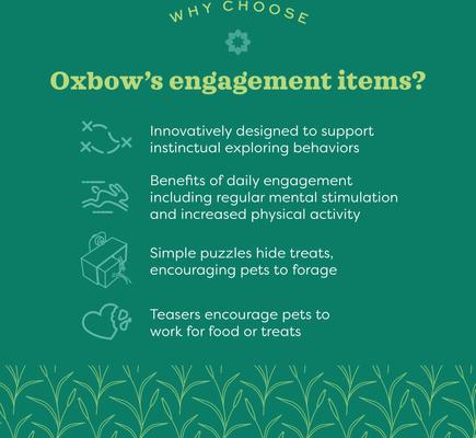 Show full view: Oxbow Play Post Small Animal Toy slide 9 of 10