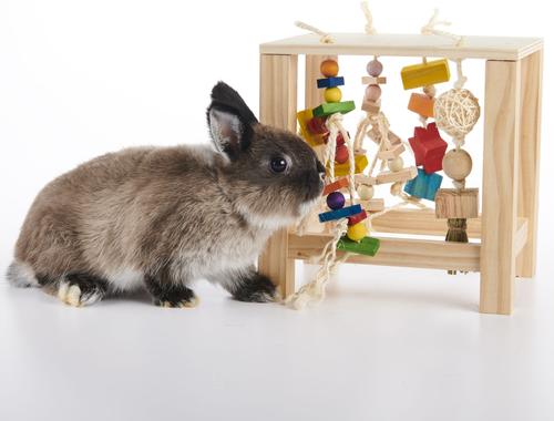 Show full view: Oxbow Play Table Small Animal Toy slide 4 of 10