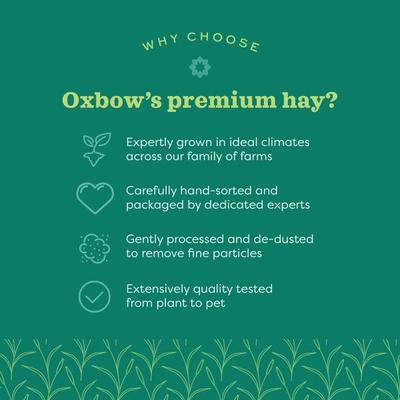Show full view: Oxbow Prime Cut Hearty & Crunchy Timothy Hay Small Pet Food, 80-oz bag slide 7 of 11