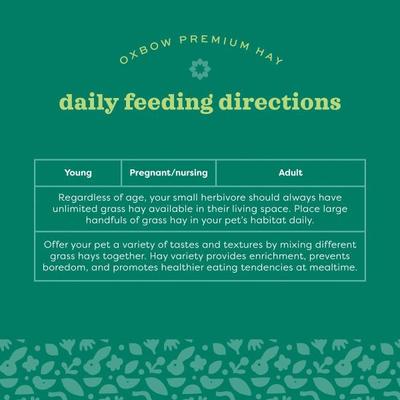 Show full view: Oxbow Prime Cut Hearty & Crunchy Timothy Hay Small Pet Food, 80-oz bag slide 8 of 11