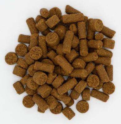 Show full view: Oxbow Real Prey Rewards Crunchy & Chewy Turkey Ferret Treats, 3-oz slide 3 of 11