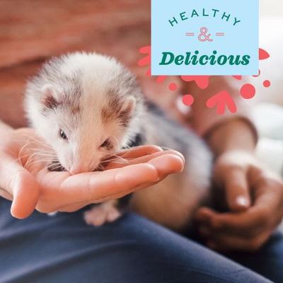 Show full view: Oxbow Real Prey Rewards Crunchy & Chewy Turkey Ferret Treats, 3-oz slide 8 of 11