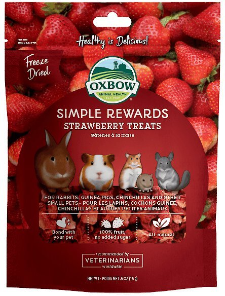 Oxbow Simple Rewards Strawberry Treats